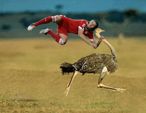 Soccer Player On Bird Funny Gif