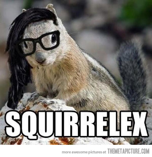 Squirrel With Sunglasses Funny Image