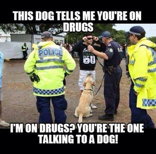 This Dog Tells Me You Are On Drugs Funny Meme