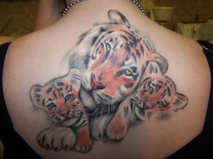 Tiger With Two Cubs Tattoo On Girl Upper Back