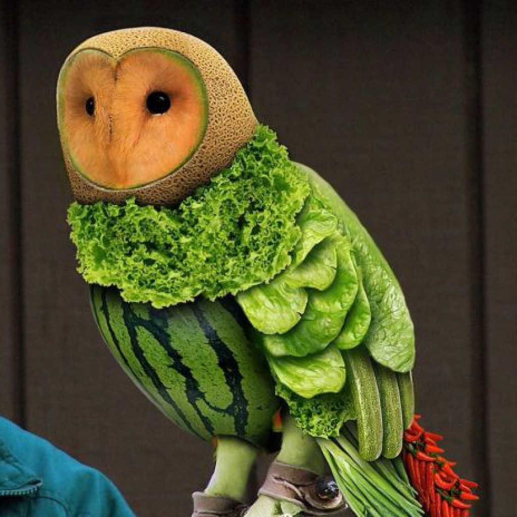 Vegetable Owl Funny Amazing Art Picture