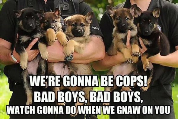 We Are Gonna Be Cops Funny Image