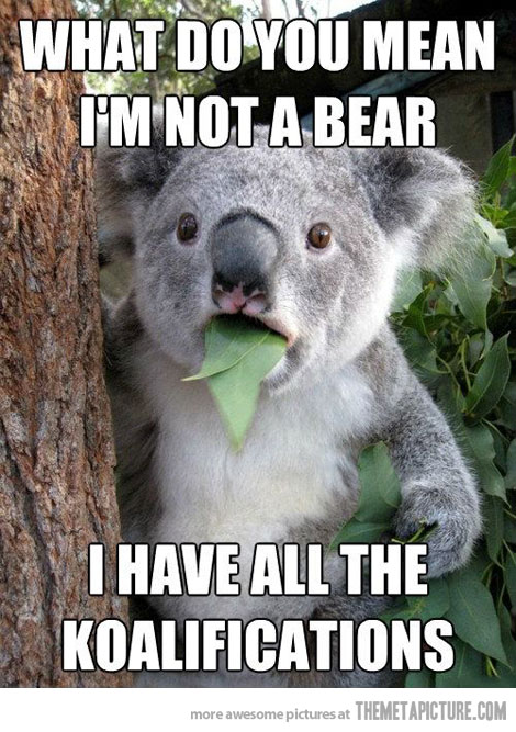 What Do You Mean I Am Not A Bear Funny Meme