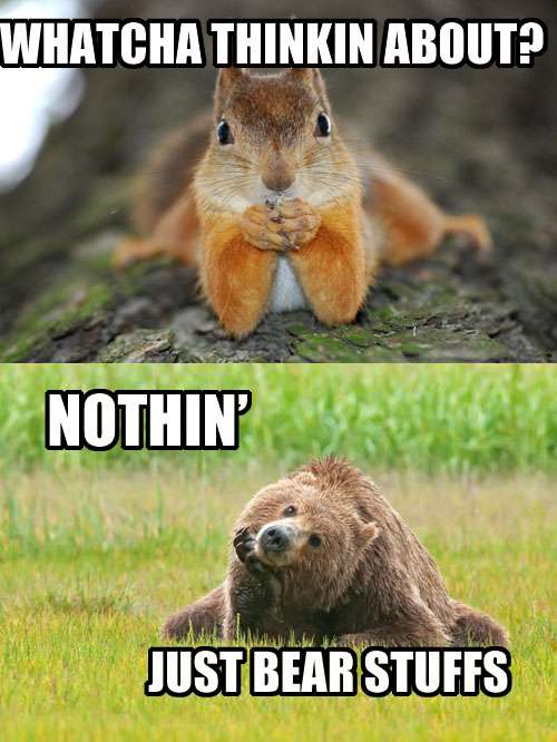 Whatcha Thinkin About Nothin Just Bear Stuffs Funny Awesome Picture
