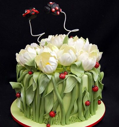 White Flowers With Lady Birds Funny Cake