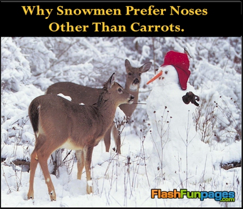 Why Snowmen Prefer Noses Other Than Carrots Funny Snowman