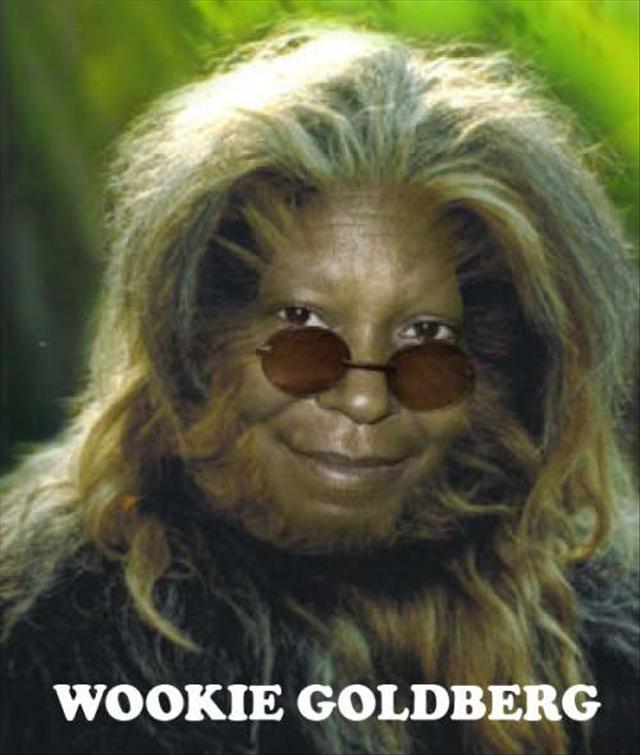 Wookie Goldberg Funny Awesome Picture