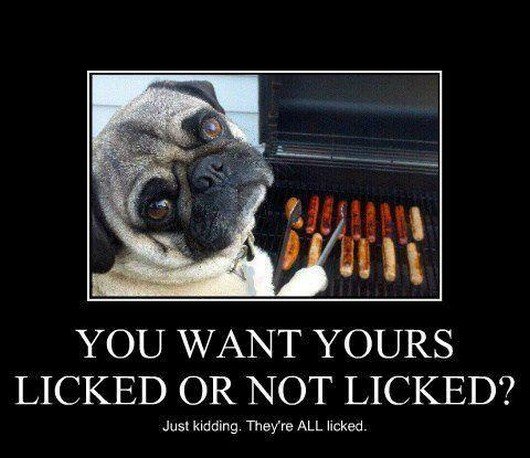 You Want Yours Licked Or Not Licked Funny Awesome Poster