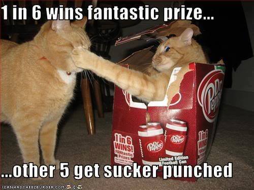 1 In 6 Wins Fantastic Prize Cat In Box Funny Picture