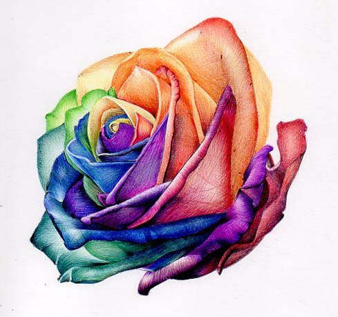 3D Rainbow Rose Tattoo Design