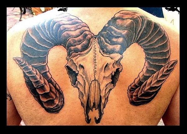 Amazing 3D Aries Skull Tattoo On Upper Back