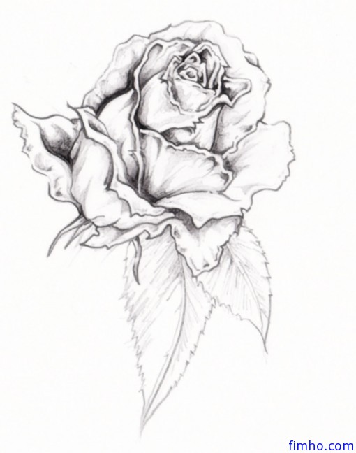 Amazing Black And White Rose Tattoo Design