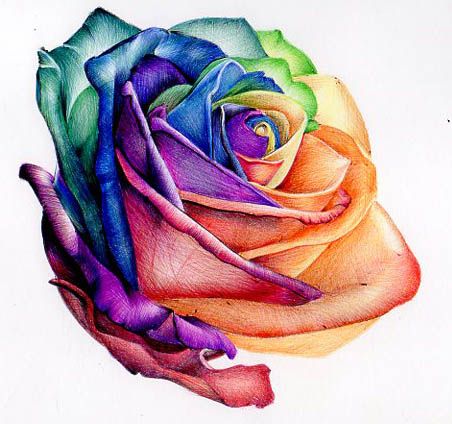 Amazing Rainbow Rose Tattoo Design