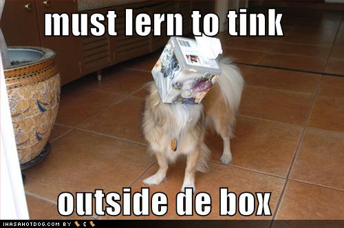 Animal Head Stuck In Box Funny Picture