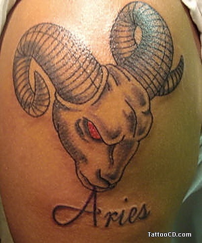Aries - Amazing Aries Head Tattoo Design For Shoulder
