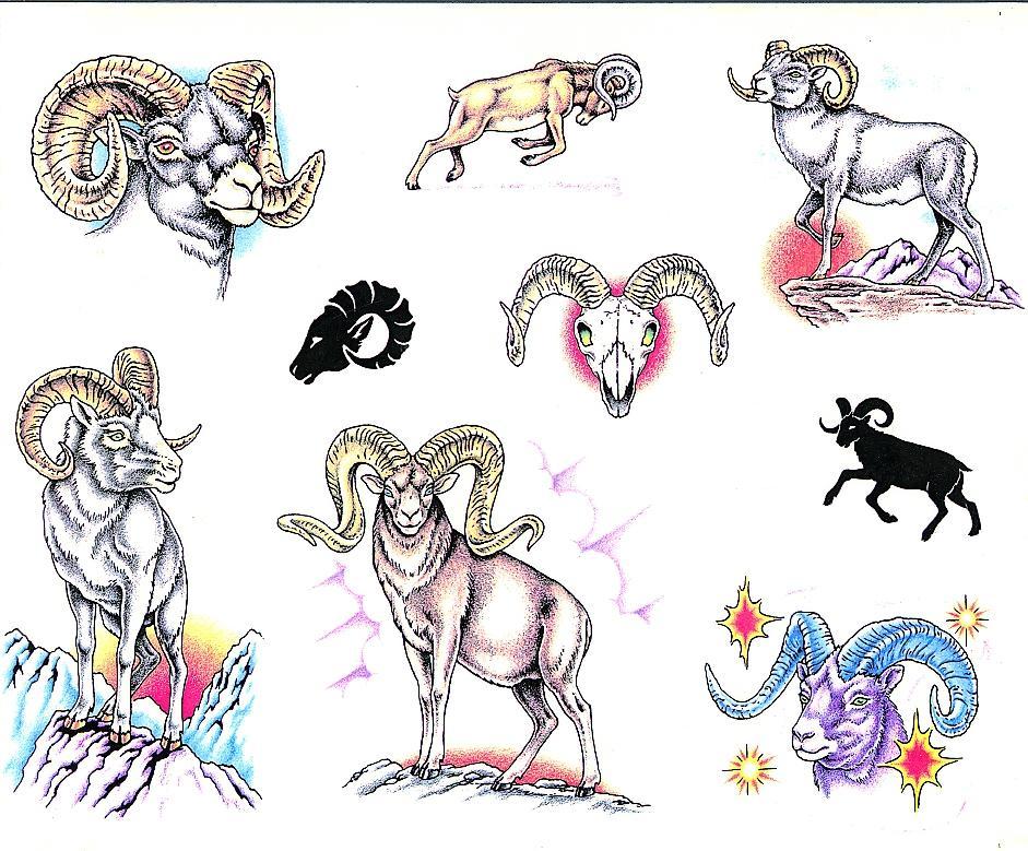 10 Aries Tattoo Designs And Ideas.