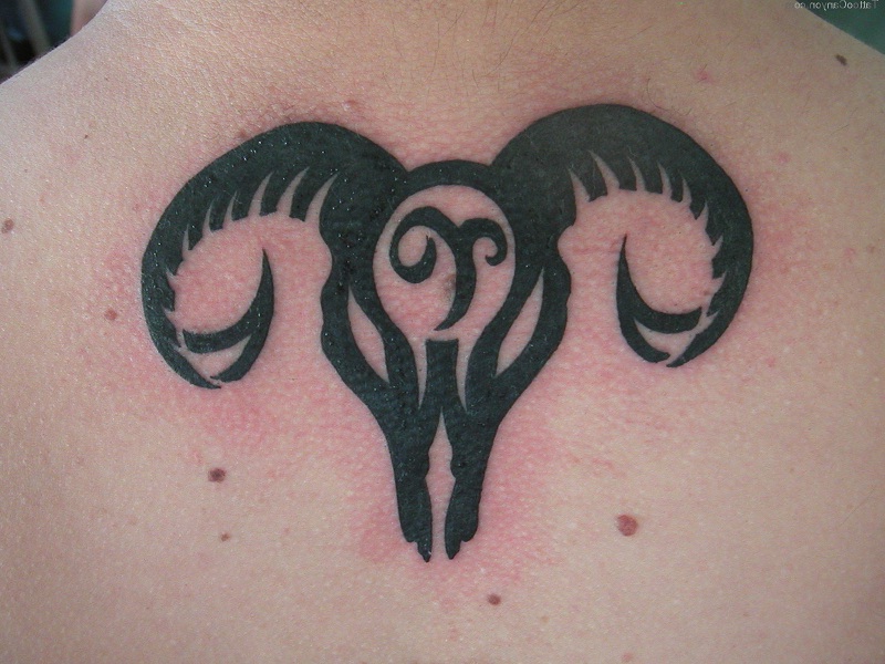 Black Aries Skull Tattoo Design For Upper Back