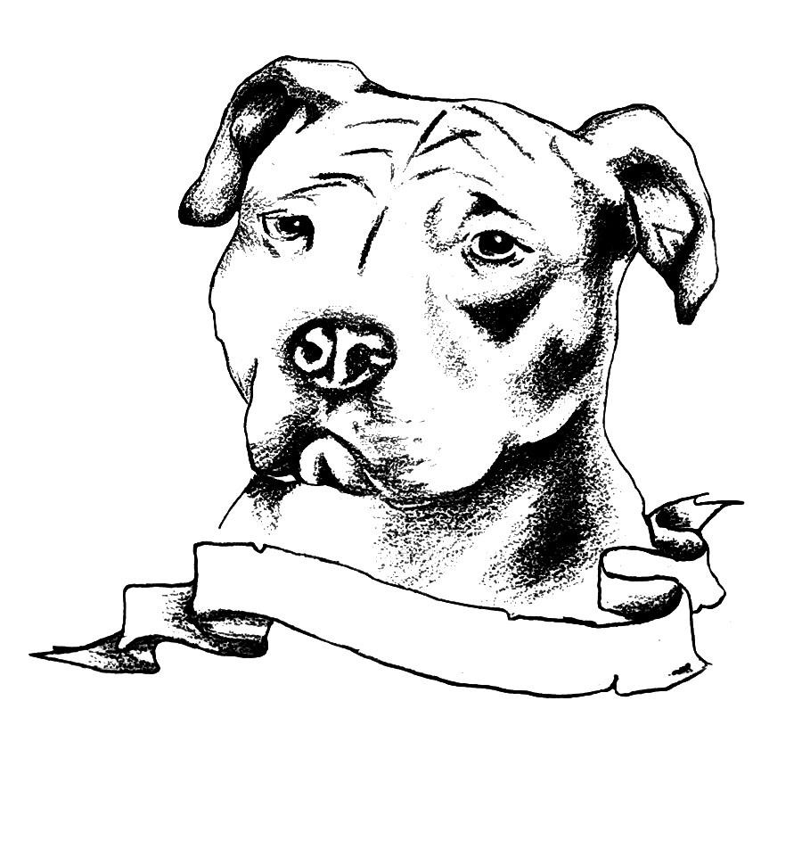 Black Ink Pit Bull Dog Head With Ribbon Tattoo Design