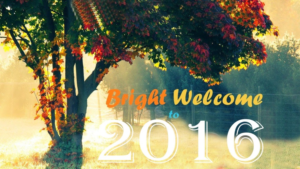 Bright Welcome 2016