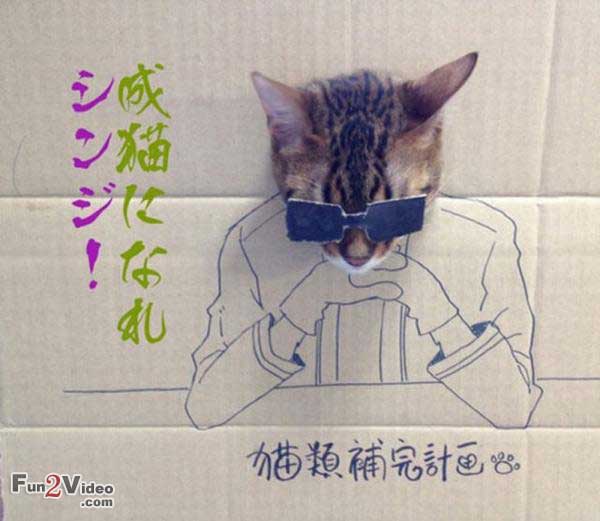 Cat In Box With Human Body Thinking Funny Picture