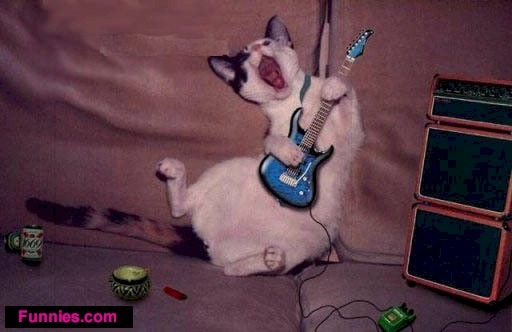Cat Playing Guitar Funny Celebration Image