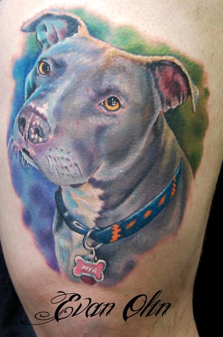 Colorful Pit Bull Dog Tattoo Design By Evan Olin