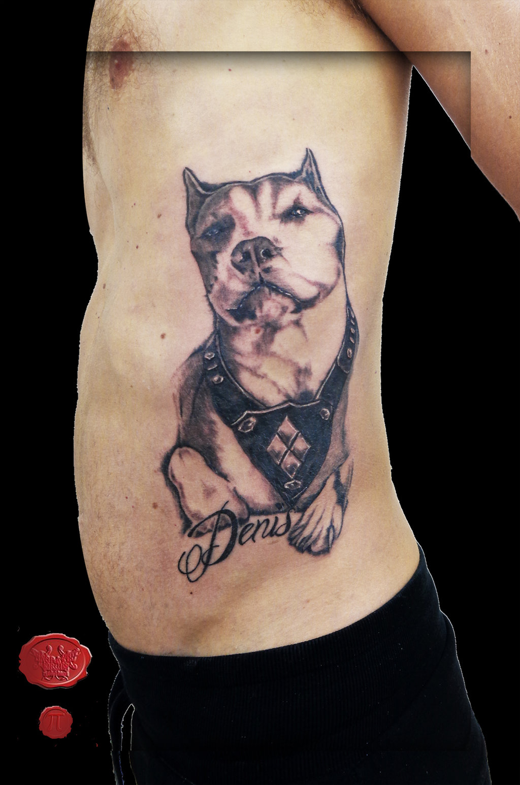 Denis – Black And Grey Pit Bull Dog Tattoo On Man Side Rib