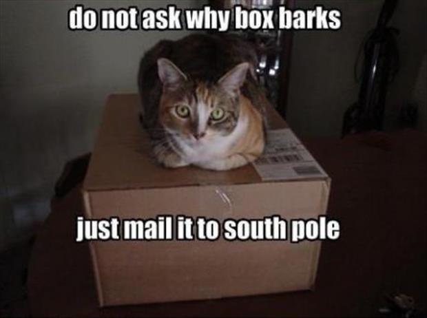 Do Not Ask Why Barks Just Mail It To South Pole Funny Box Meme