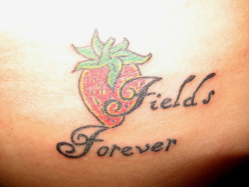 Fields Forever - Amazing Strawberry Tattoo Design