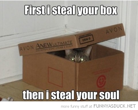 First I Steal Your Box Then I Steal Your Soul Funny Box Image