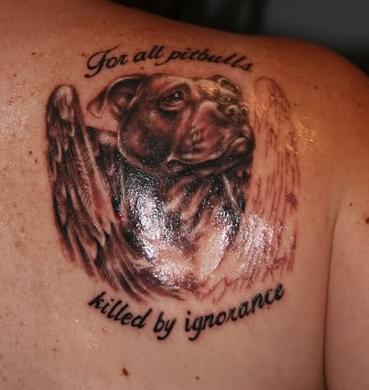 For All Pitbulls Killed By Ignorance - Pit Bull Head With Wings Tattoo On Right Back Shoulder