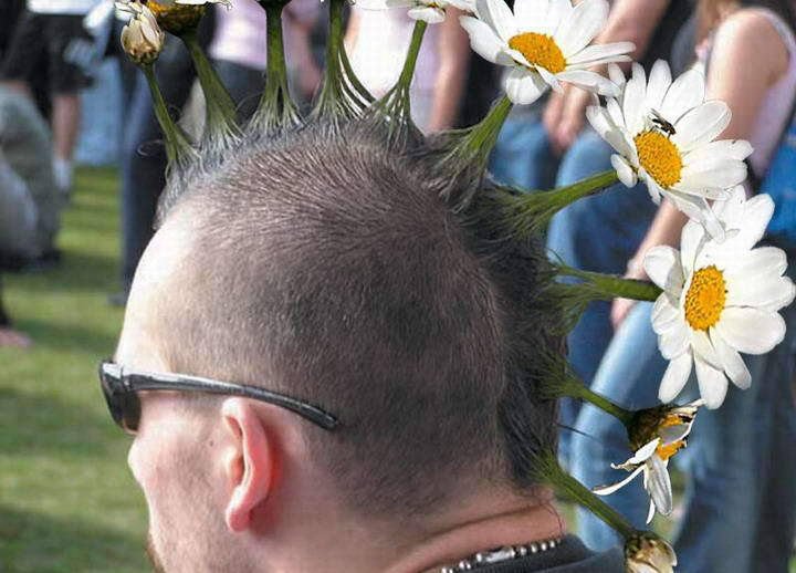 Funny Crazy Flowers Hairstyle Picture