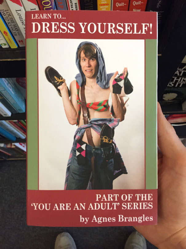 Funny Fake Self Book Image