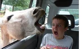 Funny Scared Kid Picture