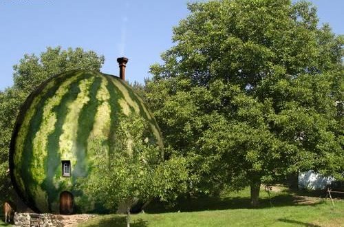 Funny Watermelon Home Image