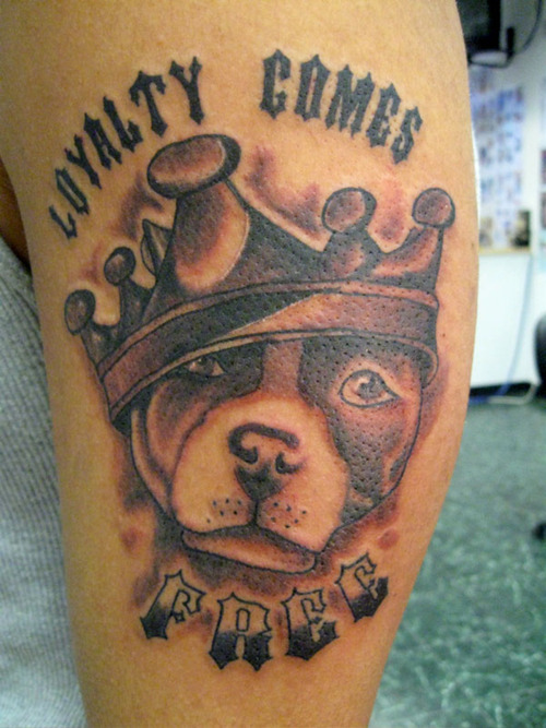 Loyalty Comes Free - Crown On Pit Bull Dog Head Tattoo On Half Sleeve