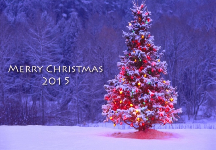 Merry Christmas 2015 Decorated Tree Picture