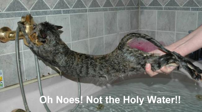 Not The Holy Water Funny Cat Taking Shower