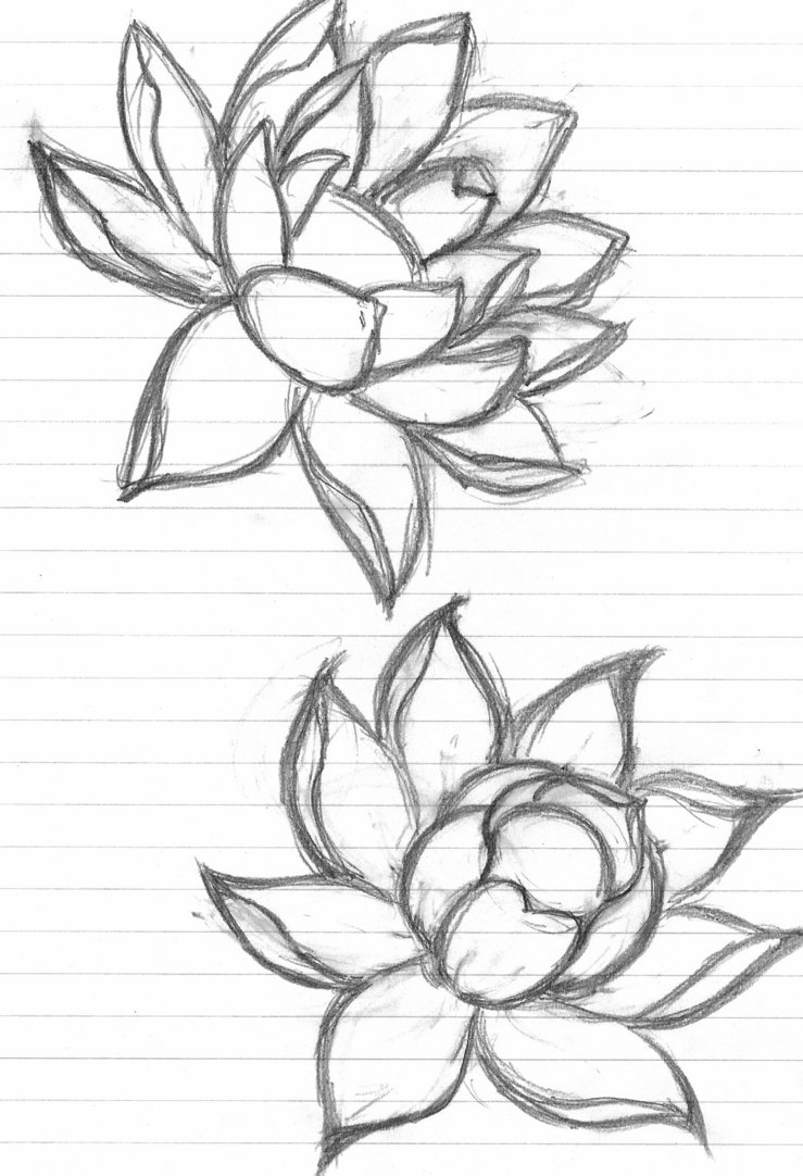 Outline Two Lotus Flowers Tattoo Design