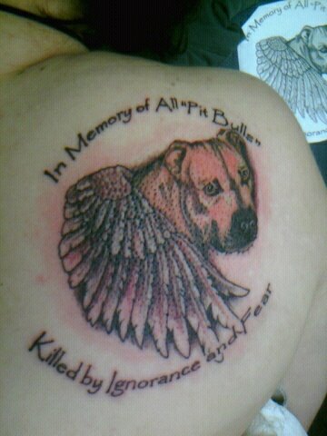 Pit Bull Dog Head With Wings Tattoo Right Back Shoulder