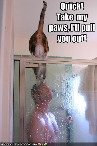 Quick Take My Paws I Will Pull You Out Funny Shower