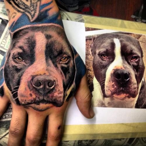 Realistic Pit Bull Dog Head Tattoo On Hand