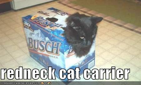 Redneck Cat Carrier Funny Box Image