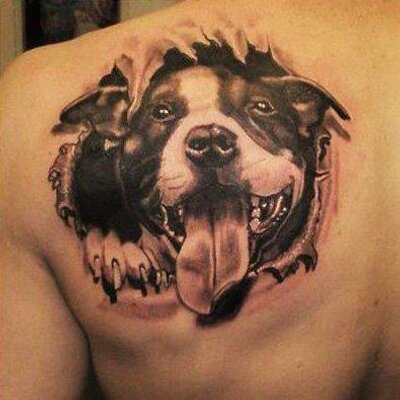 Ripped Skin Pit Bull Dog Head Tattoo On Left Back Shoulder