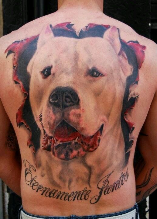 Ripped Skin Realistic Pit Bull Dog Face Tattoo On Man Full Back