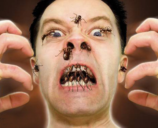 Scary Face With Ants Funny Picture
