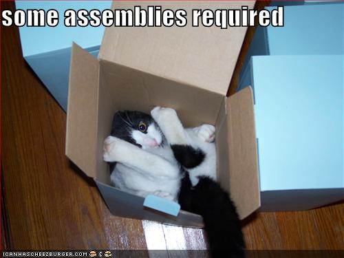 Some Assemblies Required Funny Box Image