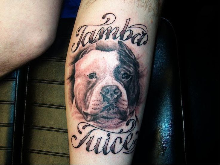 Tamba Tuice - Pit Bull Dog Head Tattoo Design For Leg