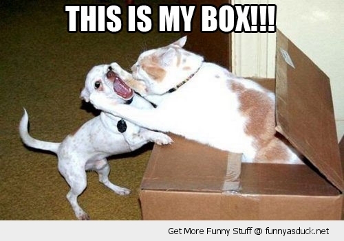 This Is My Box Funny Picture
