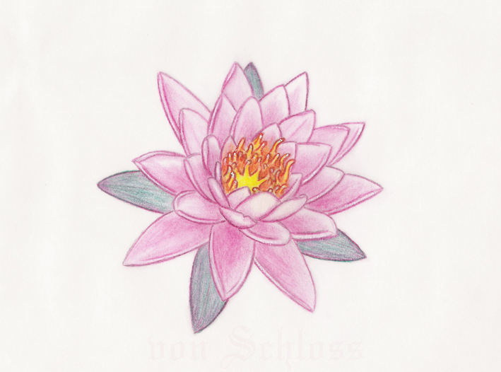 Unique Pink Lotus Flower Tattoo Design By Sean von Schloss